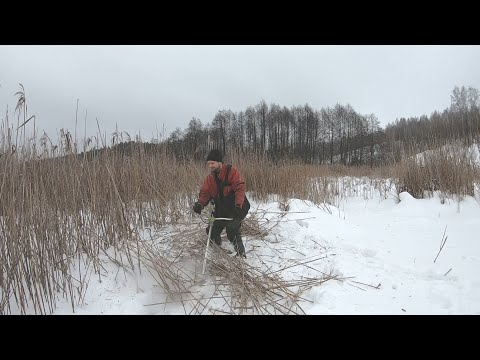 Видео: Кошу болото, расчищаю озеро. Зимние работы на пруду