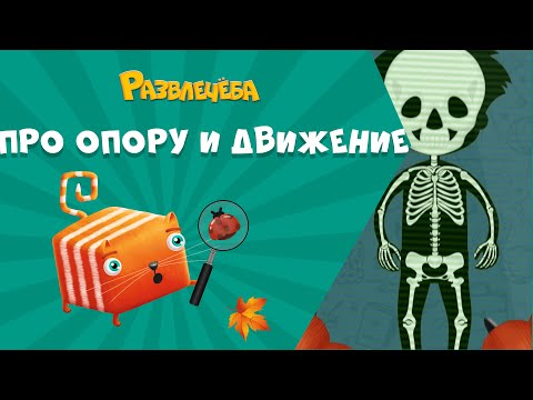 Видео: Развлечёба. Окружающий мир. Про опору и движение