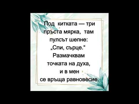 Видео: Ритуалът на тишината