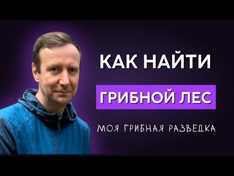 Видео: 💥КАК НАЙТИ ГРИБНОЙ ЛЕС! Покажу на собственном примере! Грибы 2025