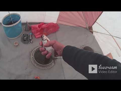 Видео: Рыбалка. Тверская обл. р. Кашинка 19-21 марта.