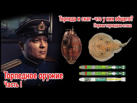 Видео: Торпедное оружие. Часть 1. Торпеды и скаты?
