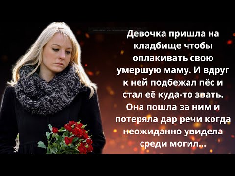 Видео: 📚 Истории из жизни 🐶 К девочке на кладбище подбежал пес и она пошла за ним. То что она увидела...
