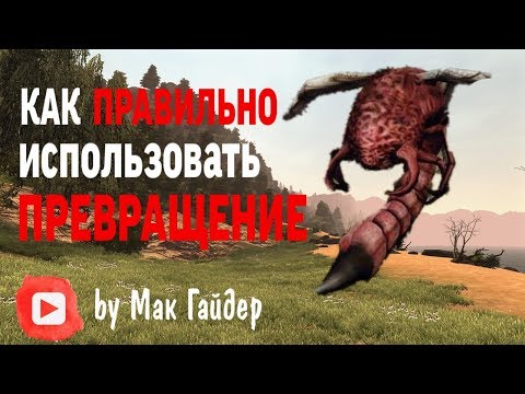 Видео: Gothic 3: Как правильно использовать зелья превращения / зелье превращения в шершня