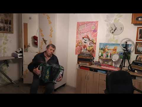 Видео: 29 октября 2025 г.