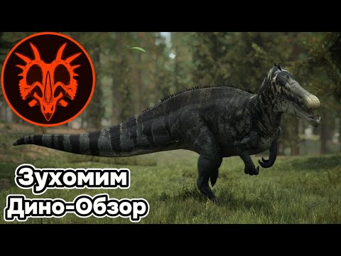 Видео: PATH OF TITANS ДИНО-ОБЗОР: ЗУХОМИМ. АНИМАЦИИ, СПОСОБНОСТИ, ОСОБЕННОСТИ, ЛУЧШИЙ БИЛД