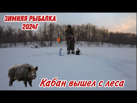 Видео: ЗИМНЯЯ РЫБАЛКА 2024 ГОДА! Разведка по щучьим местам. Подводная съёмка. Кабан вышел с Леса.