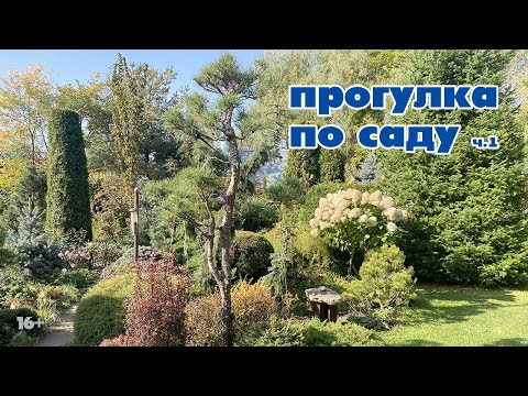 Видео: Прогулка по саду | Обзор растений  ч.1