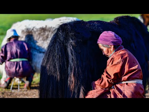 Видео: МАЛЧНЫ НЭГ ӨДӨР | SUMMER LIFE IN MONGOLIA. USUAL LIFE OF ARKHANGAI PROVINCE IN CENTRAL MONGOLIA
