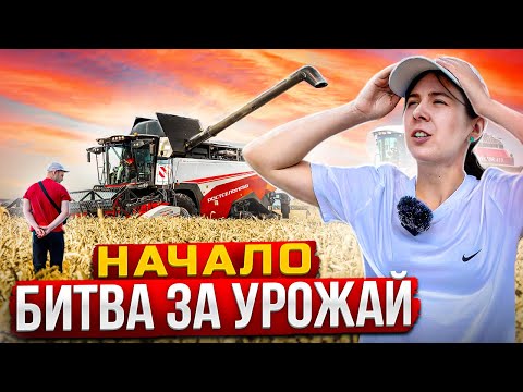 Видео: 🔴 УБОРКА УРОЖАЯ 2023 НАЧАЛАСЬ! Убираем ОЗИМУЮ ПШЕНИЦУ на Т500