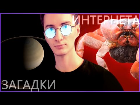 Видео: Дневная доза интернета с Олёшей 3