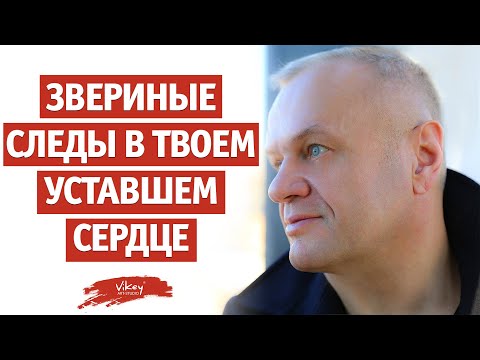 Видео: В. Корженевский (Vikey) читает стихи "Звериные следы в твоём уставшем сердце", 0+