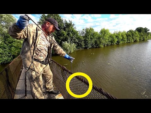 Видео: НОГИ ПОДКОСИЛИСЬ КОГДА ВЫДЕРНУЛ ЭТО ИЗ ПОД МОСТА! ОЧУМЕТЬ- ЭТО ОНО!