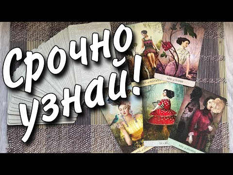 Видео: Если ТЫ НАШЛА ЭТО видео... ПОСЛУШАЙ! Ответ ЗДЕСЬ... Лично для Тебя 🕊🌷♥️♠️ таро прогноз знаки судьбы