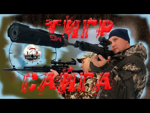 Видео: Тигр и Сайга пристрелка!
