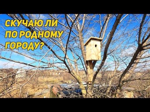 Видео: САМЫЙ ЧЕТКИЙ СКВОРЕЧНИК. Зелень в парниках в феврале.