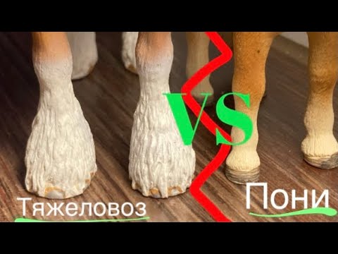 Видео: тяжеловоз VS пони / Юмористической видео / лошади Шляйх