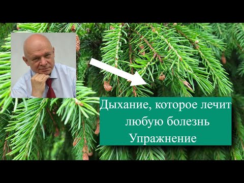 Видео: Дыхание, которое лечит любую болезнь. Упражнение.