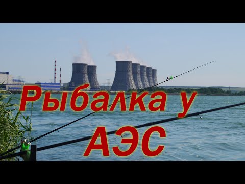 Видео: ТИЛАПИЯ НА ФИДЕР У АТОМНОЙ СТАНЦИИ. Рыбалка в Воронежской области. Нововоронежский пруд охладитель.