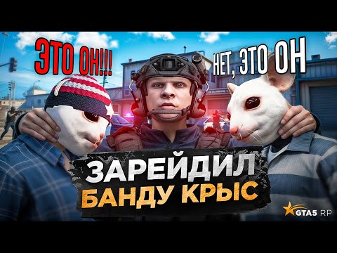 Видео: СНЯЛ ЛИДЕРА токсичной БАНДЫ СТУКАЧЕЙ в GTA 5 RP