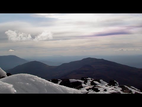 Видео: Конжак 2022