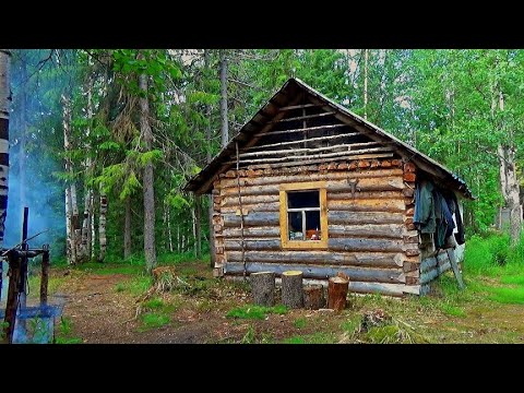Видео: Остановились в таёжной избе после рыбалки! Отдых в тайге! Наваристая уха из окуня и голов щуки!