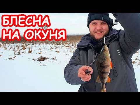 Видео: ЛОВЛЯ ОКУНЯ НА БЛЕСНУ. ЗИМНЯЯ РЫБАЛКА. ЗИМНЯЯ БЛЕСНА НА ОКУНЯ. ЛОВЛЯ НА БАЛДУ
