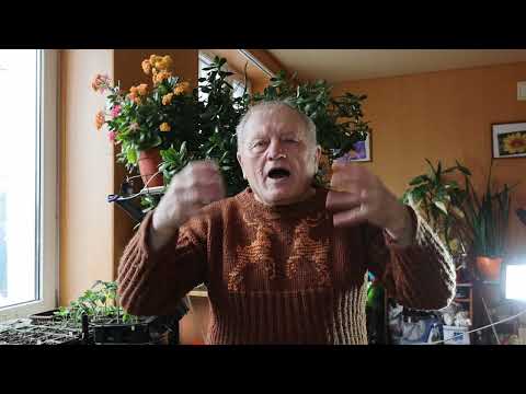 Видео: Все секреты АКЧ только по Геннадию Распопову, ну а супчики корейцев делаем по Американски.
