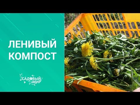 Видео: ЛЕНИВЫЙ и БЫСТРЫЙ  КОМПОСТ. Как просто приготовить в саду компост.