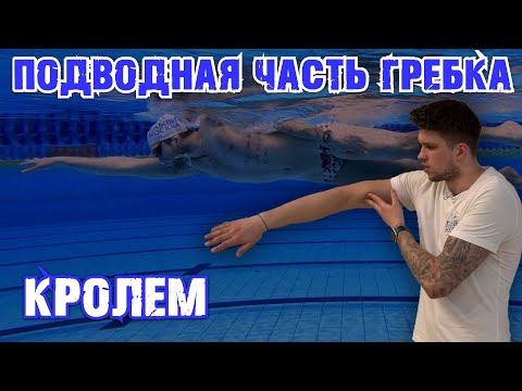 Видео: ВСЕ, что НУЖНО ЗНАТЬ о гребке кролем