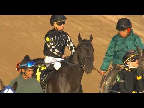 Видео: R9 ЧЕРЧИЛЛЬ-ДАУНС 31 ОКТЯБРЯ 2025 ГОДА