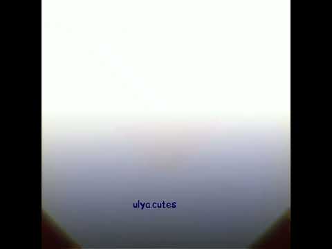 Видео: ПОДБОРКА ВИДЕО ИЗ ТИК ТОК ПРО ШИП ЛАЙОШИ!