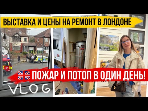 Видео: ПОЖАР И ПОТОП В ОДИН ДЕНЬ! Выставка и 🦊 ЖИЗНЬ В АНГЛИИ 🇬🇧