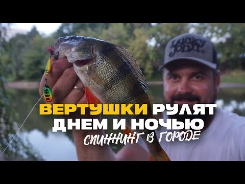 Видео: Рыбалка со Спиннингом в Городе Минск Окунь Днем и Судак Ночью Вертушки Рулят