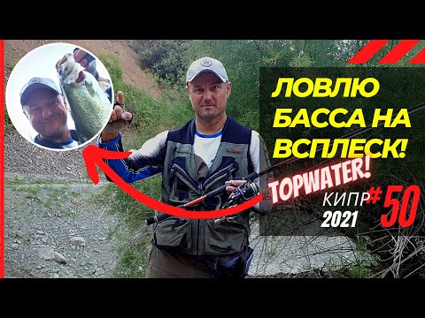 Видео: Утренний кайф! Ловлю басса НА ВСПЛЕСК!  🔥 Рыбалка на Кипре 🇨🇾 Часть 50 Сезон 2021