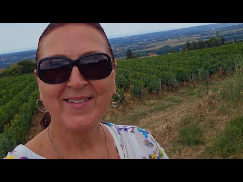 Видео: France/Beaujolais Расскажу о французской свадьбе! Пройдемся между виноградников!КРАСОТА!