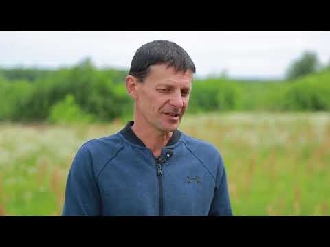 Видео: Види бур'янів та методи боротьби з ними