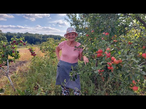 Видео: Худею и Мотивирую 👍  В  СЕЛЕ НА КАРТОШКЕ 💪🥔