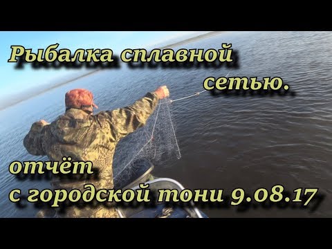 Видео: рыбалка сплавной сетью.  отчёт с городской тони. 9.08.17