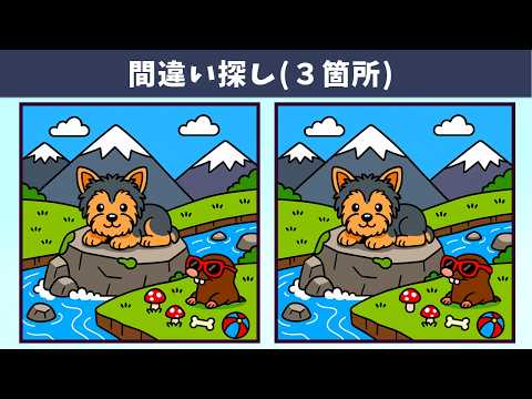 Видео: Найдите 3 отличия | Иллюстрация Версия #2021