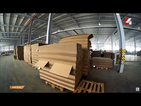 Видео: Производство гофрокартона на шымкентском предприятии | Made in KZ