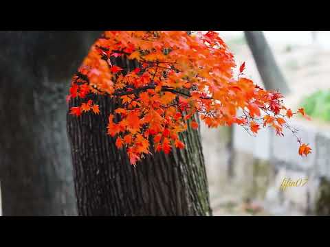 Видео: •♫•♬• Есенно / double vision 🍂🍁| Official MV #новапесен #fifin07 #music