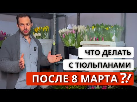 Видео: ЧТО ДЕЛАТЬ с тюльпаном после 8 Марта? Где и как правильно хранить тюльпаны, чтобы продлить им жизнь?