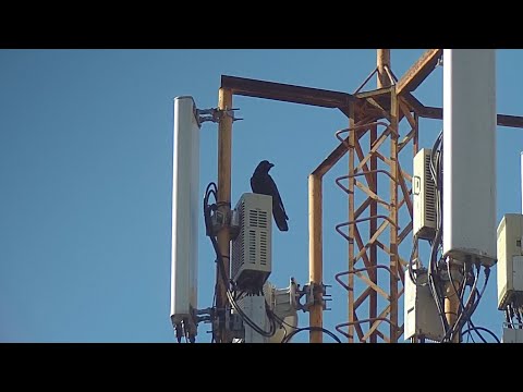 Видео: Ликвидация чёрных ворон с атн прицелом  4