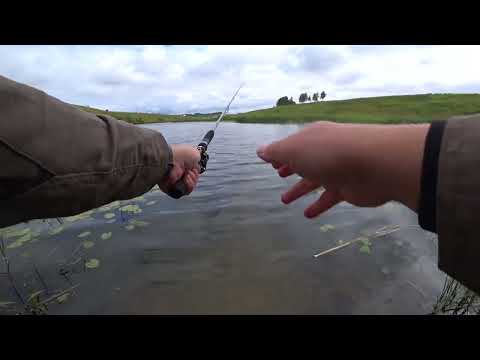 Видео: Рыбалка на реках Шат,Осетр,Красивая Меча 06.07.2025