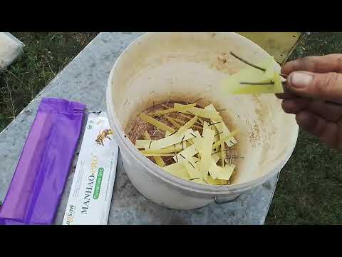 Видео: Китайские полоски от клеща Манхао