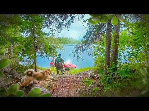 Видео: 72 ЧАСА НА НЕОБИТАЕМОМ ОСТРОВЕ. ОДИН В ТАЁЖНОЙ ГЛУШИ. ЖИВУ В ПАЛАТКЕ ЛОВЛЮ РЫБУ. ЭКСПЕДИЦИЯ В ТАЙГУ