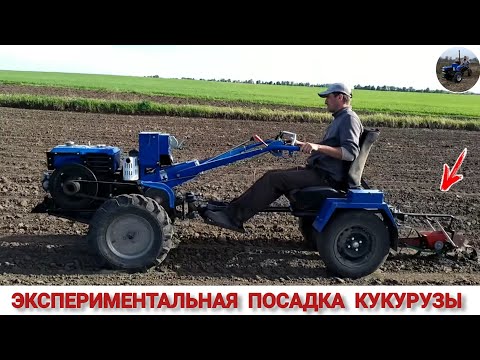 Видео: ПОСАДКА КУКУРУЗЫ ПО НОВОМ , ЭКСПЕРИМЕНТАЛЬНАЯ ПОСАДКА МОТОБЛОКОМ / СДЕЛАЛ КРЕПЛЕНИЕP / PLANTING CORN