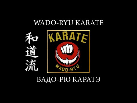 Видео: ВАДО-РЮ КАРАТЭ. Кто создал и как возник стиль Вадо-рю каратэ. Боевые искусства мира