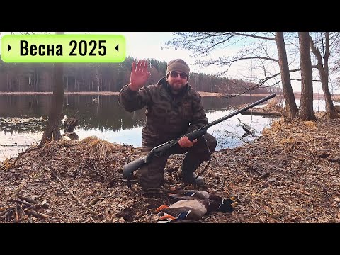 Видео: Весенняя Охота с Подсадной 2025